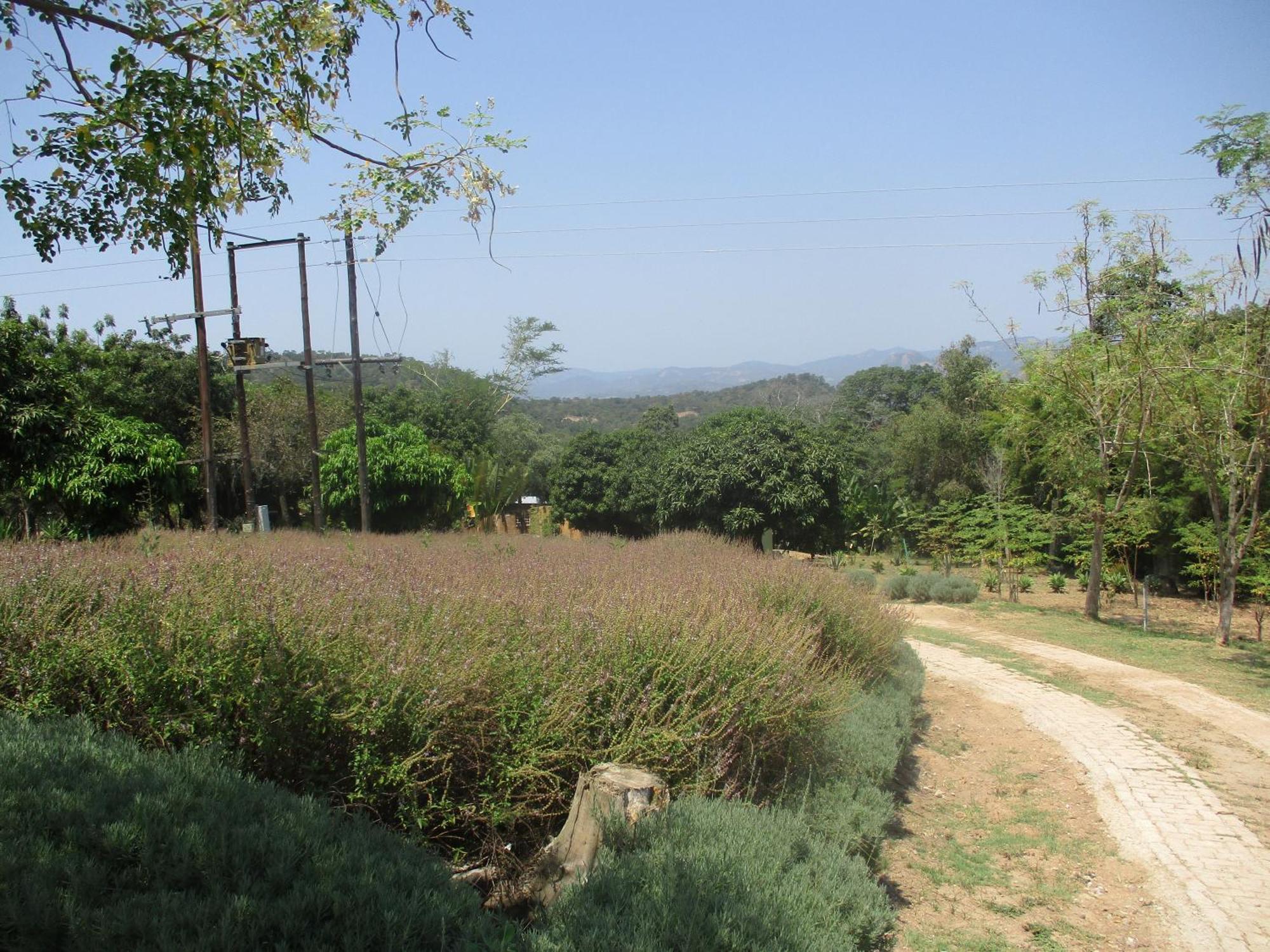 Leopard Tree Retreat Villa Mbombela Exterior photo