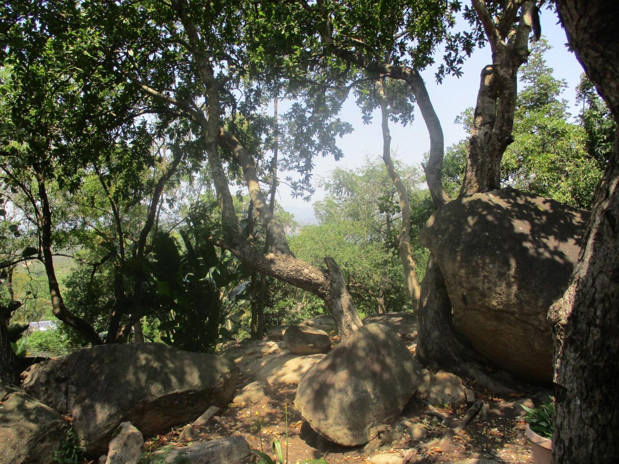 Leopard Tree Retreat Villa Mbombela Exterior photo