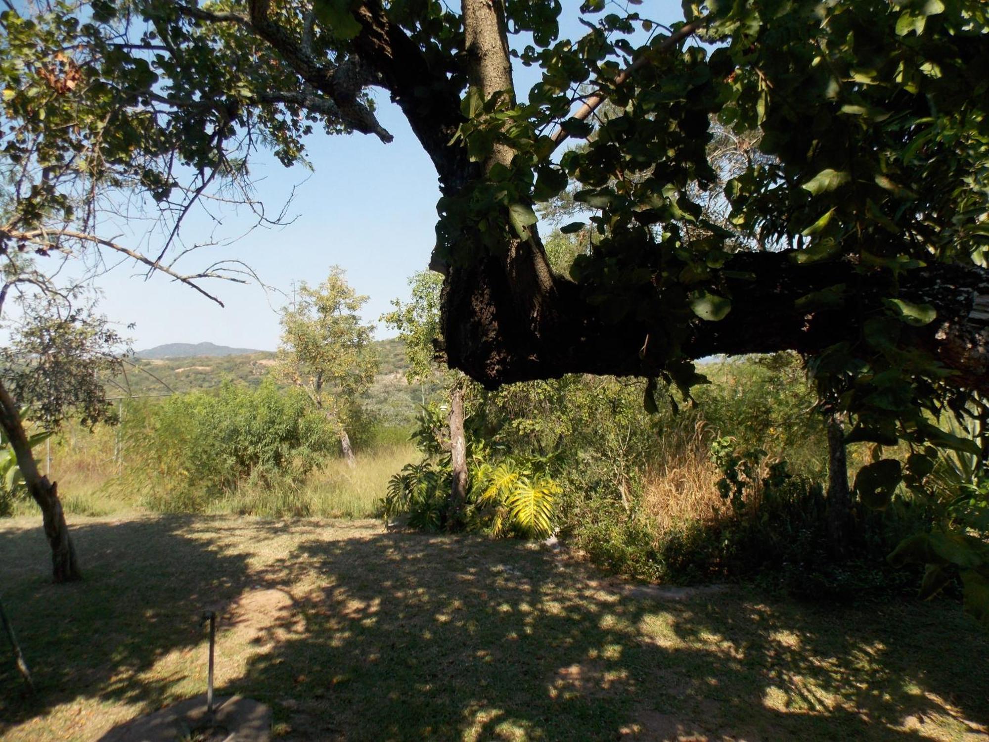 Leopard Tree Retreat Villa Mbombela Exterior photo